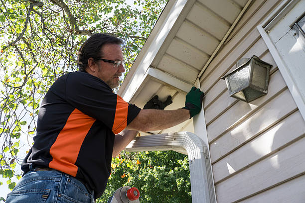 Affordable siding repair and maintenance services in Pismo Beach, CA